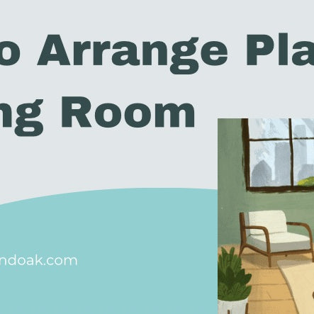 How To Arrange Plants In Living Room 