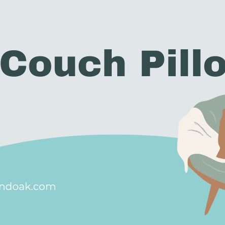 Best Couch Pillows 