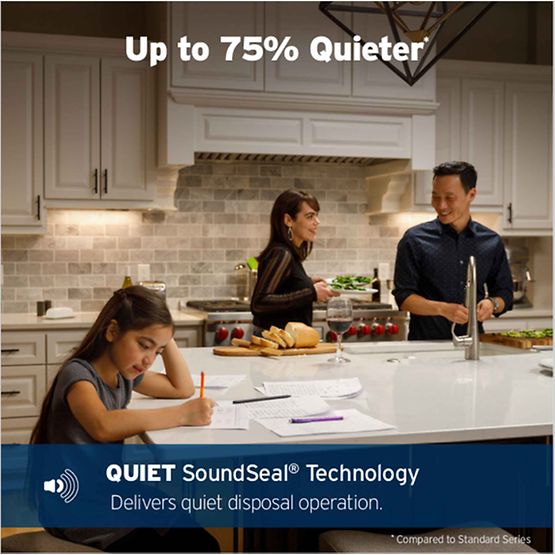 InSinkErator Advanced Series Evolution 35SS, 5/8 HP