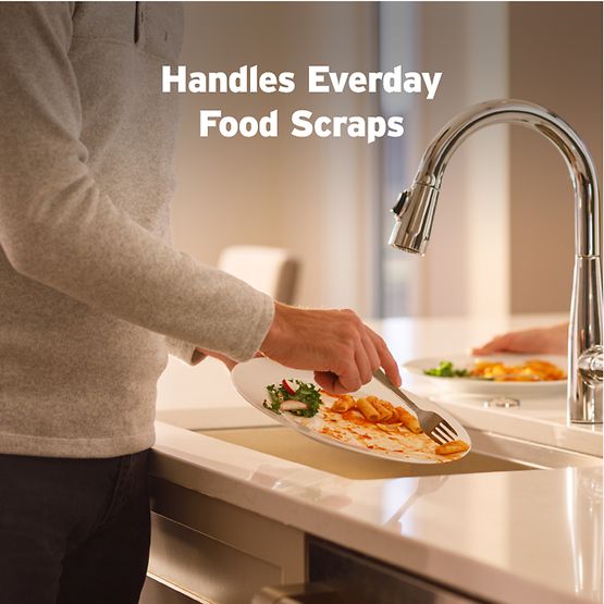 InSinkErator Badger 100 Garbage Disposal, 1/3 HP