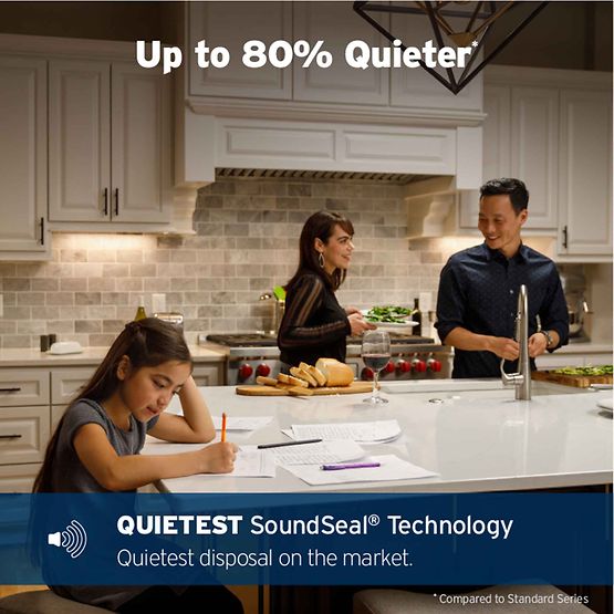 InSinkErator Evolution 1.0HP Garbage Disposal